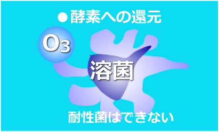 酵素への還元、オゾンにより溶菌、耐性菌はできない