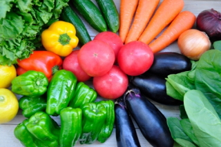 オゾン発生器で鮮度が長持ち